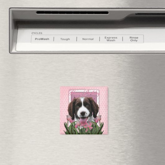 Happy Birthday - English Springer Spaniel - Baxter Magnet (In Situ (Geschirrspüler))