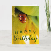 "Happy Birthday"-Enthusiastische Ladybug-Karte Karte (Vorderseite)