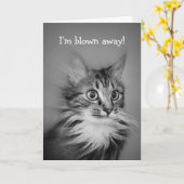 Happy Birthday erstaunliche Katze mit Neck Ruff Karte (Gelbe Blume)