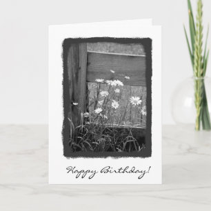 Happy Birthday Fence Karte