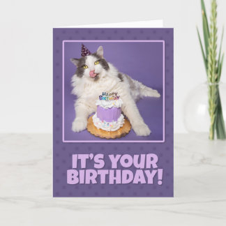 Happy Birthday Fett Katze lecken Gesicht mit Kuche Feiertagskarte