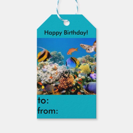 Happy Birthday Fisch Aquarium Tag Geschenkanhänger (Vorderseite)