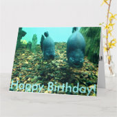 Happy Birthday Fish Karte (Gelbe Blume)