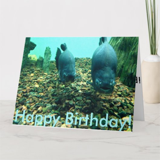 Happy Birthday Fish Karte (Vorderseite)