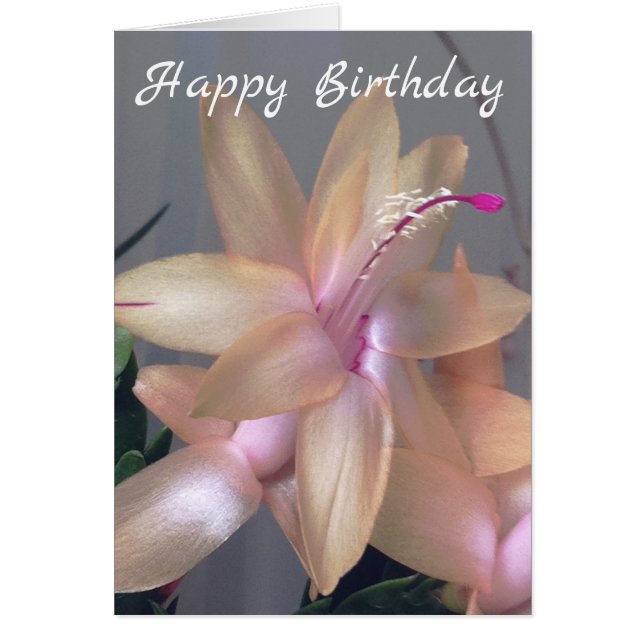 * Happy Birthday Flower Fotogray Customize (Vorne)