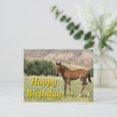 Happy Birthday Foal Postkarte (Stehend Vorderseite)