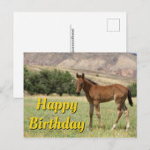 Happy Birthday Foal Postkarte (Vorne/Hinten)
