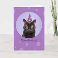 Happy Birthday For Anyone Funny Cat in Party Hat