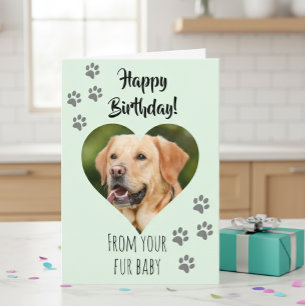 Happy Birthday Foto Hund Katze Pet Fur Baby Karte