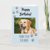 Happy Birthday Foto Hund Katze Pet Fur Baby Karte (Vorderseite)