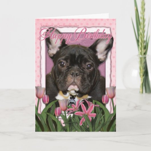 Happy Birthday - French Bulldog - Aquamarin Karte (Vorderseite)