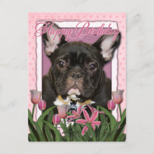 Happy Birthday - French Bulldog - Aquamarin Postkarte