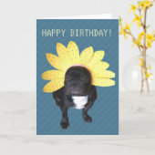 Happy Birthday French Bulldog Blume Card Karte (Gelbe Blume)