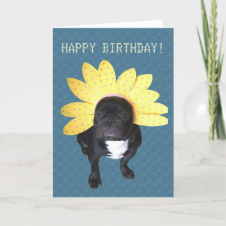 Happy Birthday French Bulldog Blume Card Karte