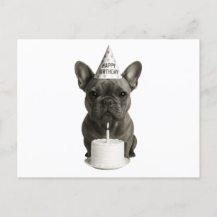Happy Birthday French Bulldog Feiertagspostkarte