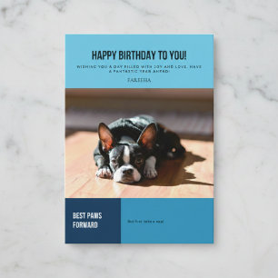 Happy Birthday French Bulldog Karte