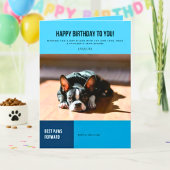 Happy Birthday French Bulldog Karte