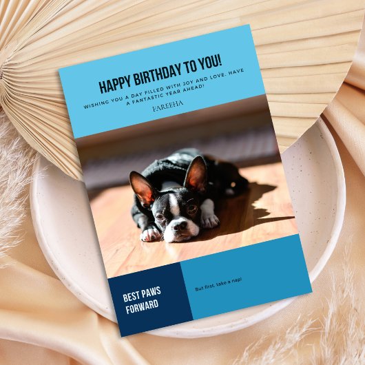 Happy Birthday French Bulldog Karte