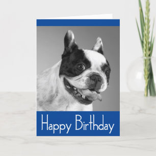 Happy Birthday French Bulldog Puppy Card - Verse Karte
