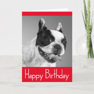Happy Birthday French Bulldog Puppy Card - Verse Karte
