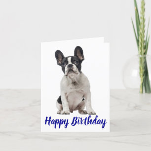 Happy Birthday French Bulldog Puppy Dog Frenchie Karte