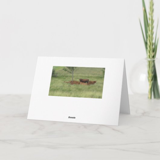 Happy Birthday Friedlich Day Cows in Field Card Karte (Rückseite)