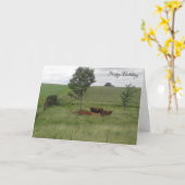Happy Birthday Friedlich Day Cows in Field Card Karte (Gelbe Blume)
