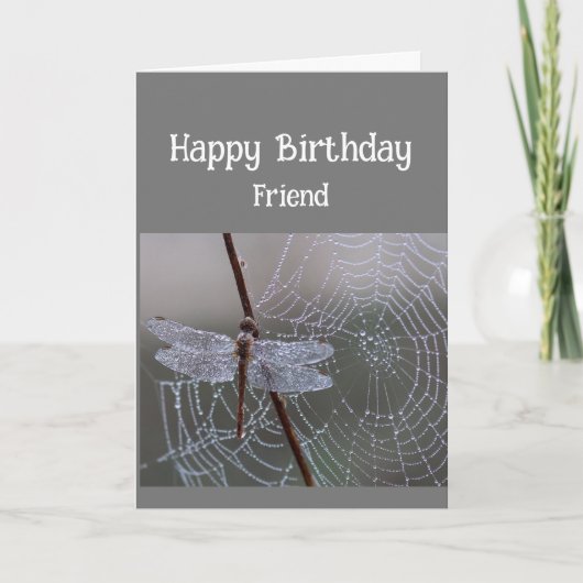 Happy Birthday Friend Dragonfly Dragonflies Karte (Vorderseite)