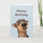 Happy Birthday Friend Funny Dog Grumpy Old Man Karte<br><div class="desc">Glücklicher Geburtstag Grumpy Alter Mann niedlich traumatisiert aussehender Hund</div>