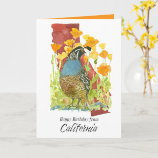 Happy Birthday from California Quail Poppy Flowers Karte