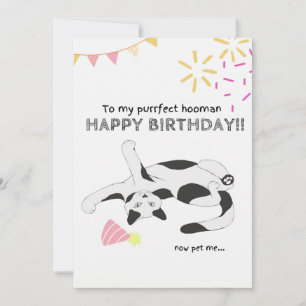 Happy Birthday From Cat Flat Holiday Card Feiertagskarte