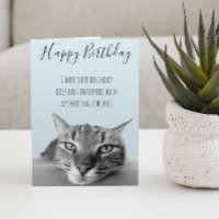 Happy Birthday From Cat Funny Spaß