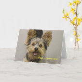 Happy Birthday from the little one. Karte (Gelbe Blume)