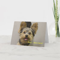 Happy Birthday from the little one.