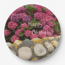 Happy Birthday Fuchsia Hydrangea