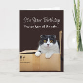 Happy Birthday Funny Cat  Karte (Vorderseite)