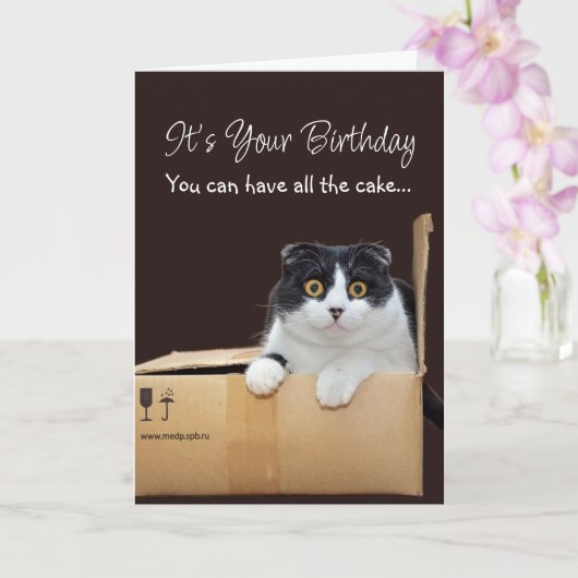 Happy Birthday Funny Cat  Karte (Orchidee)