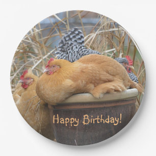 Happy Birthday Funny Chickens Pappteller