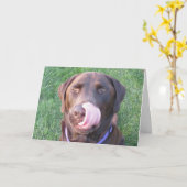 Happy Birthday FUNNY Chocolate Labrador Card Karte (Gelbe Blume)