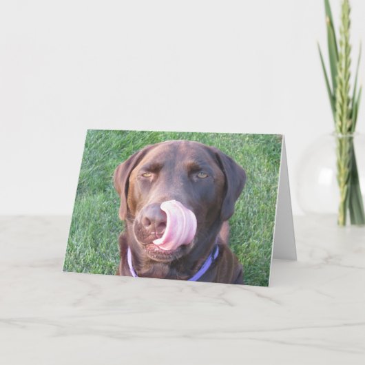 Happy Birthday FUNNY Chocolate Labrador Card Karte (Vorderseite)