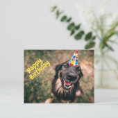 Happy Birthday Funny Dog in Party Hat Postkarte (Stehend Vorderseite)