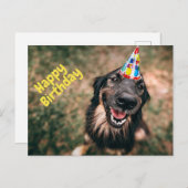 Happy Birthday Funny Dog in Party Hat Postkarte (Vorne/Hinten)