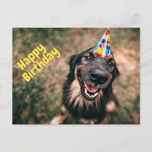 Happy Birthday Funny Dog in Party Hat Postkarte (Vorderseite)