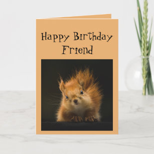 Happy Birthday Funny FRIEND Red Squirrel Tier Karte