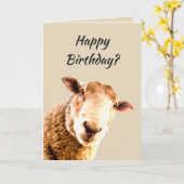 Happy Birthday Funny Sheep Animal Spaß Karte (Gelbe Blume)