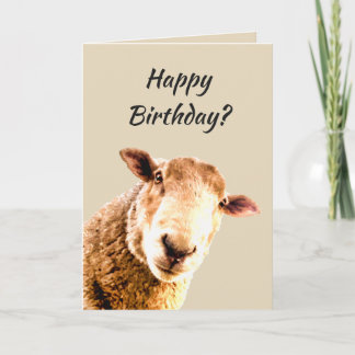 Happy Birthday Funny Sheep Animal Spaß Karte