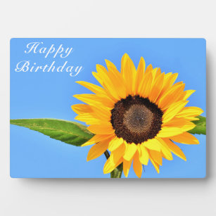Happy Birthday - Gelbe Sonnenblume auf blauem Himm Fotoplatte