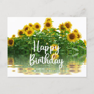 Happy Birthday Gelbe Sonnenblumen Postkarte