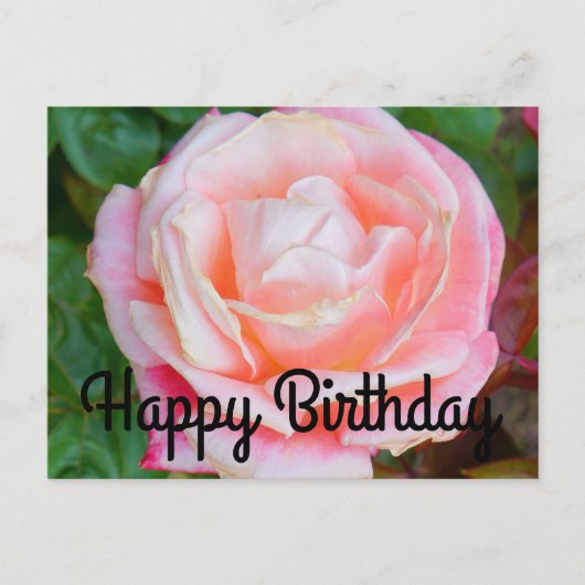 Happy Birthday Gemini Rose #1 Postcard Postkarte (Vorderseite)