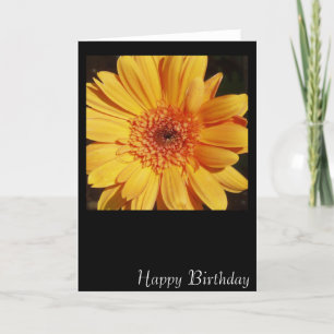Happy Birthday Gerbera Card Karte